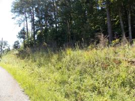 Lot 46 Mt. Vista Dr