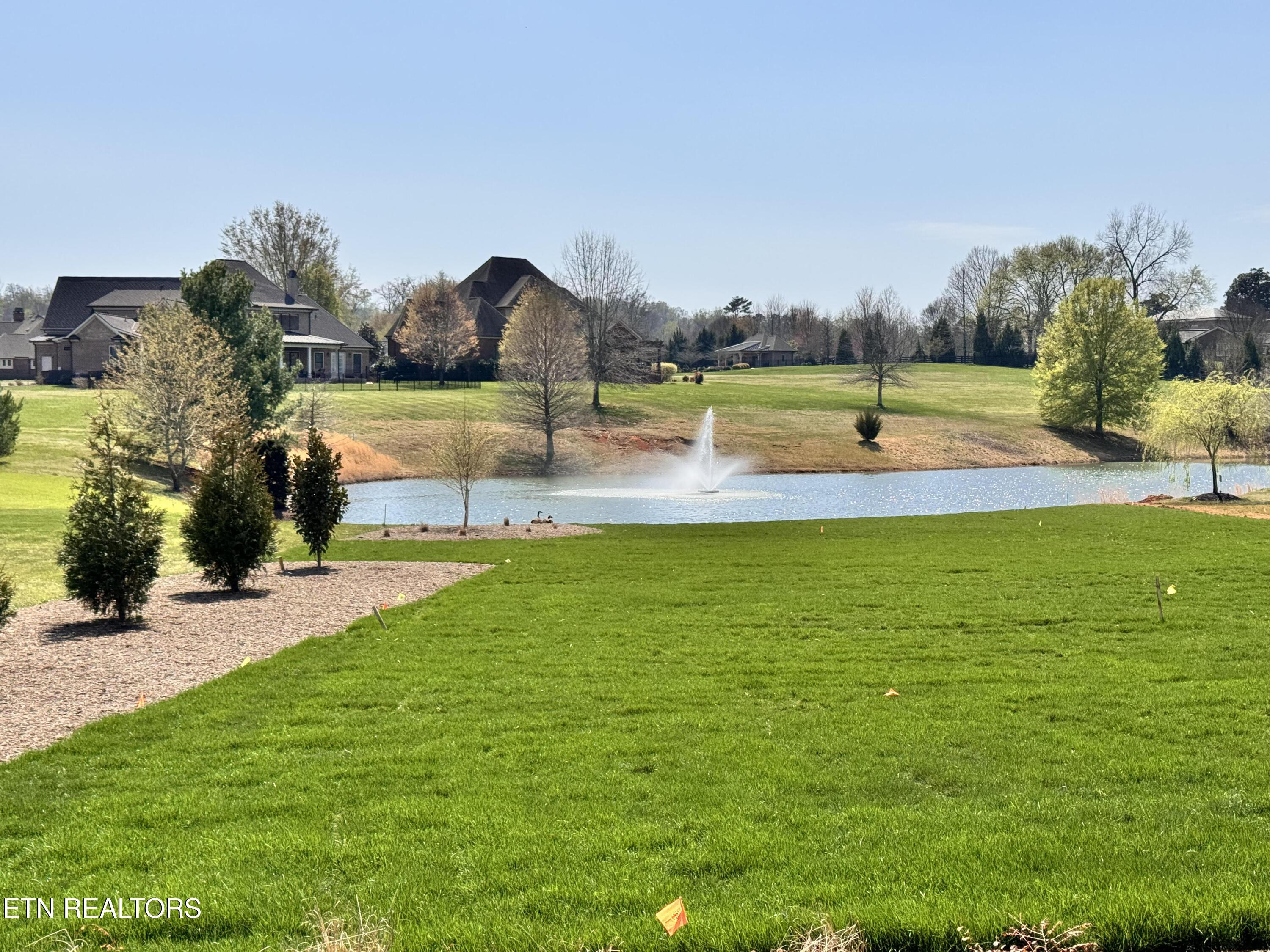 Image 3: Beautiful level lot to neighborhood pond