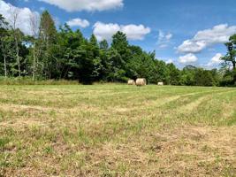 Fox Hill Rd