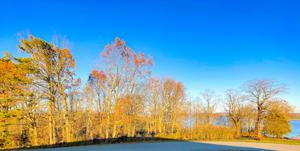 Lot 6 Alberts Cove
