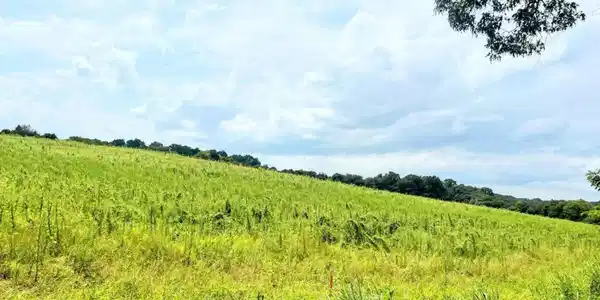 Lot 17 Gravelly Hills Rd