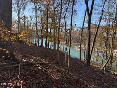 Deer Run Place