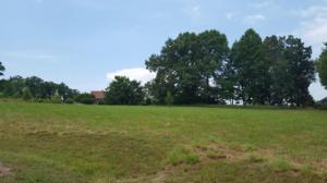 Nunyu Trail  15