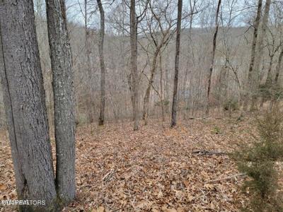 Big Creek Lane