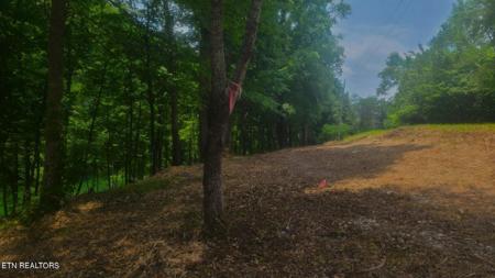 Lot 117B Claiborne Rd