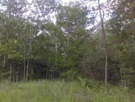 2125 Coweta Drive 53