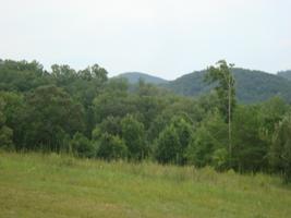 1 Williams Rd.