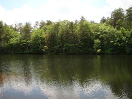 Lot 31 Lake Shore Dr Drive