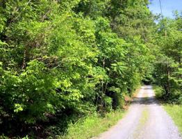 704 Scenic River Rd