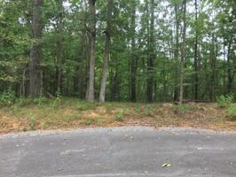 1405 Echota Lane 168