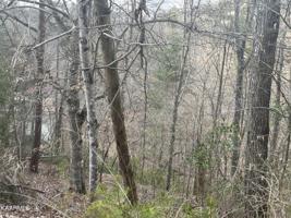 Lot 32 Ridgeview Circle