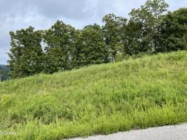 Lot 43 Cameron Loop Lane