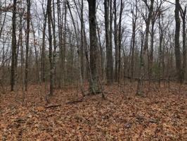 1236 Natchez Trace