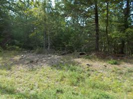 31 Ivydale Lane