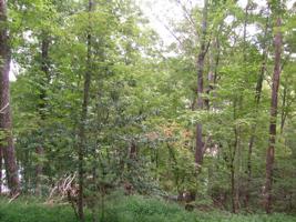 3133 Manhato Rd