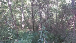 Lot 49 Norris Crest Drive