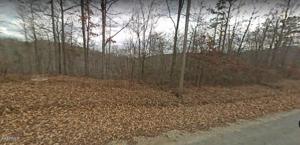 Lot 22 Big Creek Lane