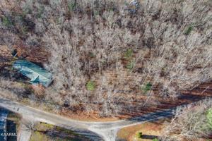 1007 Oceola Circle