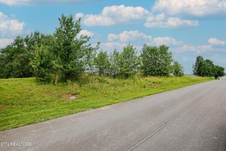 Marble Bluff Drive