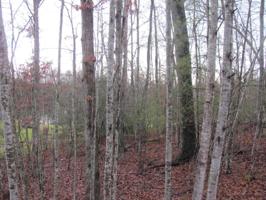 24 Hunterwood Court 366