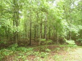 1051 Flathead Rd 301