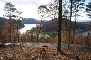 Lot 3 Hickory Knoll Circle 3