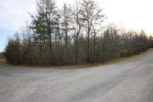 10 Ridgeland Terrace 454