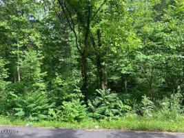 Shawnee Drive