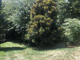 127 Chuniloti Trace