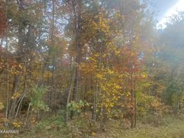 Lot 9 Laurel Loop
