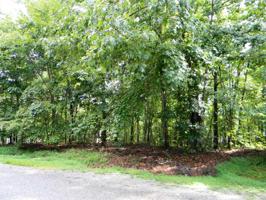 130 Ivy Lane 110