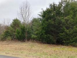 Lot 15 Gohi Tr