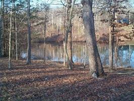 3045 Nocatee Trace 205