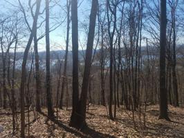 1212 Keetoowah Drive 37