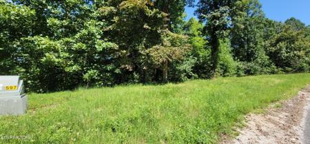 Lot 597 N Two Rivers Lane