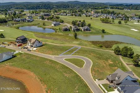 497 Black Bear Circle
