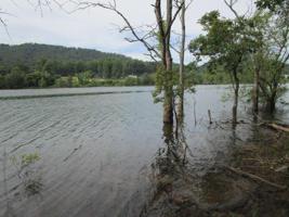 Lot 1 Rocky Springs Rd