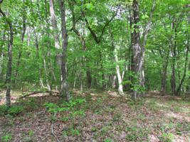 112 Folkstone Rd