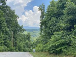Lot 110 Harness Lane