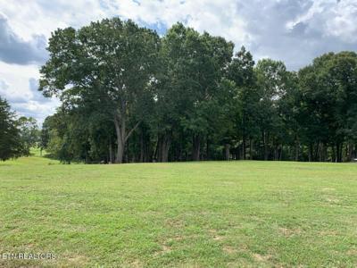 Lot 6 Ancient Oaks Ct