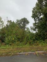 Lot 192 Pheasant View