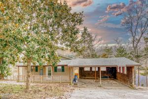 907 Flat Hollow Marina Rd