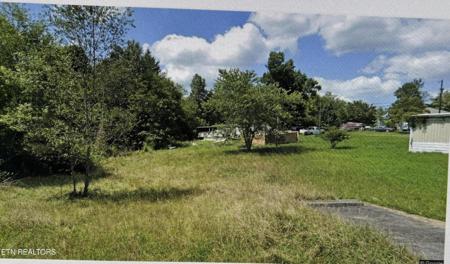 704 Sequoia Drive