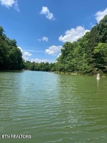 Image 2: Douglas Lake