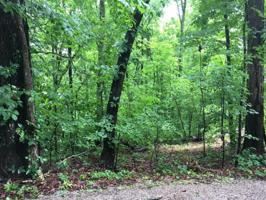 233 Gadusi Trace 15