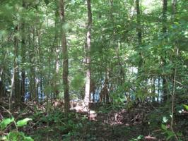 155 Pineridge Loop 34