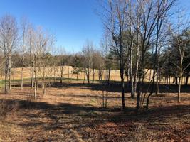 Lot 38 Dudi Trail