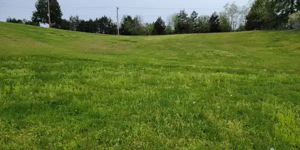 .93 Acres Jodelle Lane