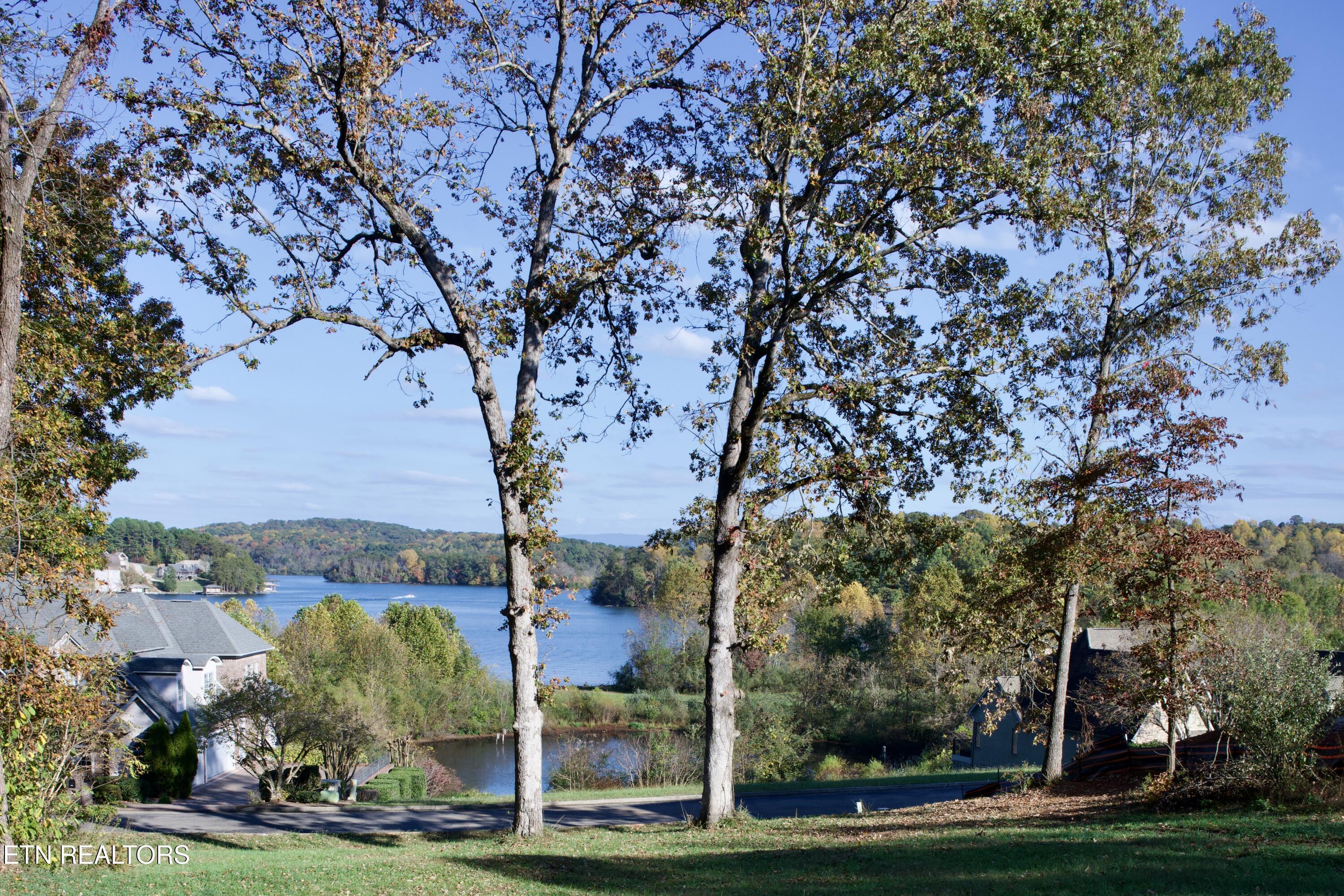 Image 2: _DSC0957