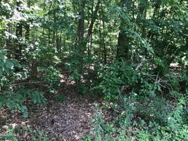 143 Dalefield Loop